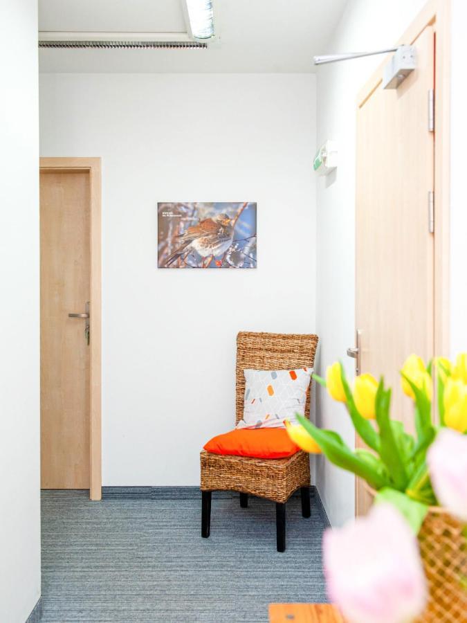 Gosciniec Ptasi Zaulek Bed & Breakfast นีคอร์เซ ภายนอก รูปภาพ